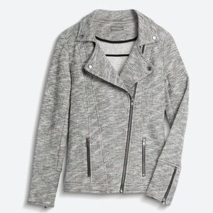 Market & Spruce Elissa French Terry Moto Jacket